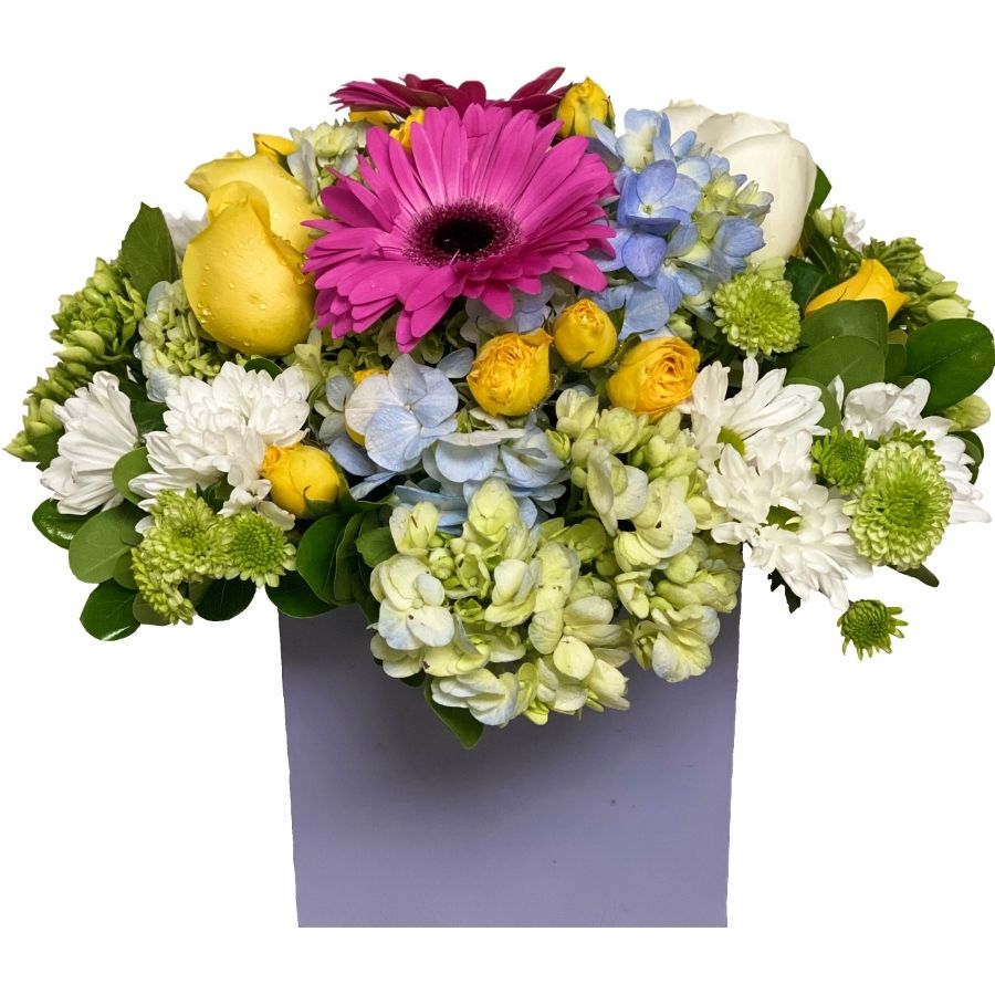 Flower Box Hortensias y Gerberas