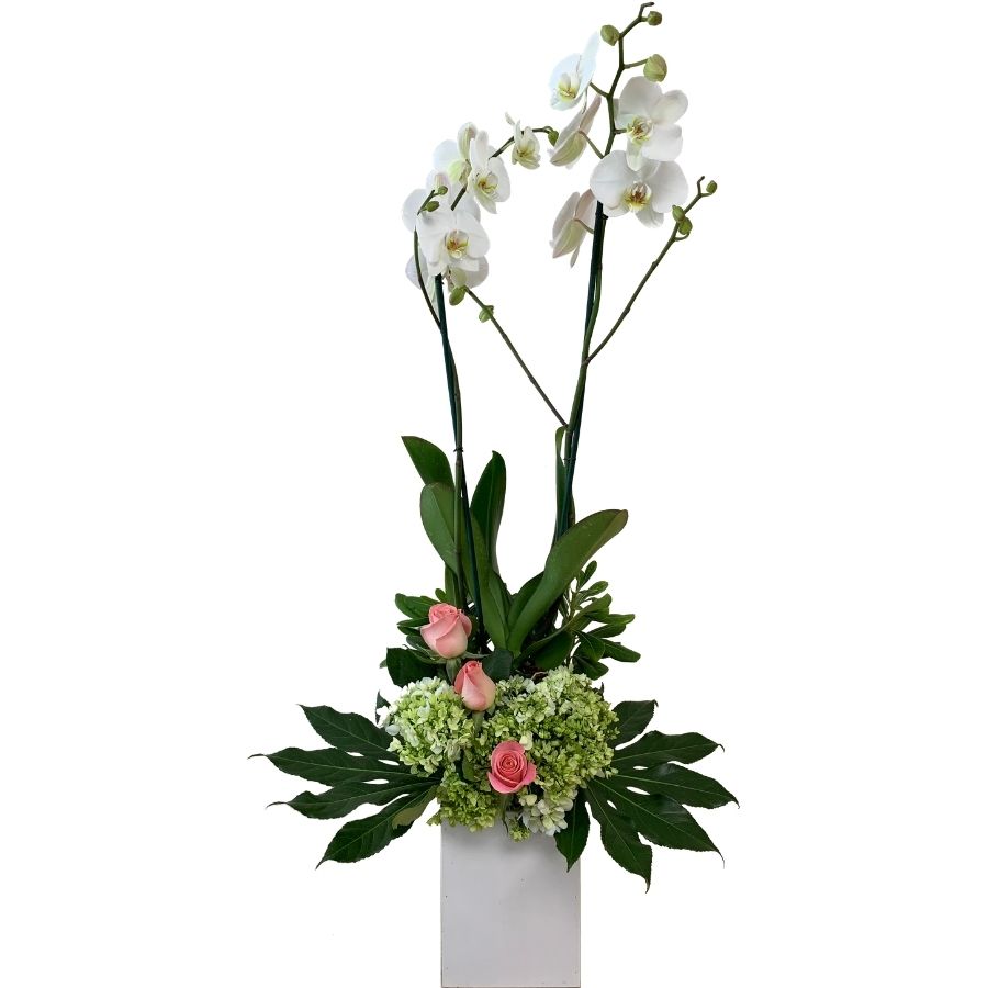 Flower Box Orquidea Blanca