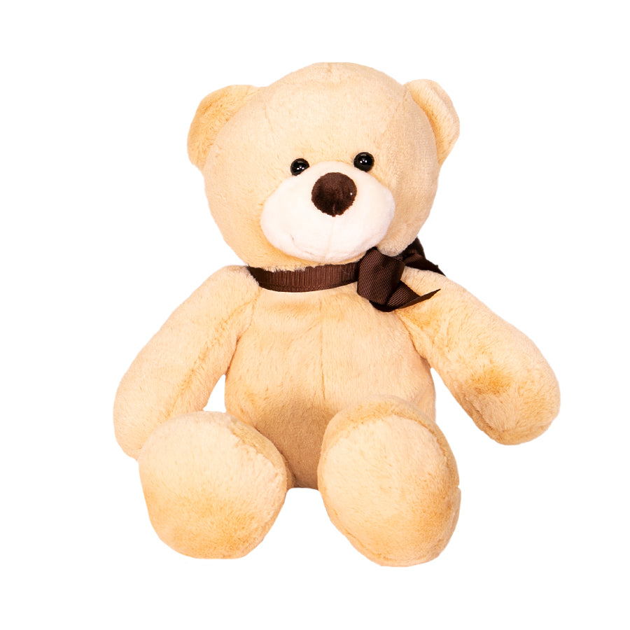 Oso de Peluche Beige Mediano